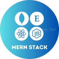 mern stack course