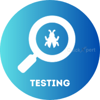 software-testing course