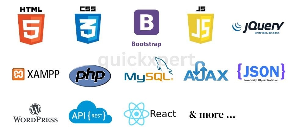 Full Stack Web Developer Courses & Tools Learned